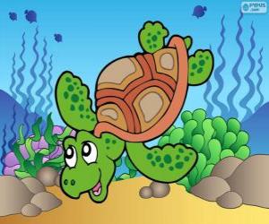 Puzzle Θαλάσσια χελώνα